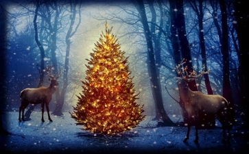 Christmas Tree David's Deer in Forest Photographic Backdrops