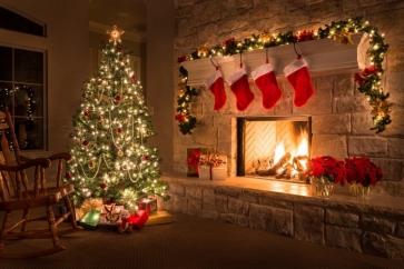 Christmas Tree by Fireplace Red Socks Christmas Party Camera Backdrops