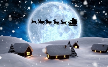 White Snow Houses David's Deer Moon Professional Photo Backdrops