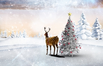 Winter White Snow Christmas Tree David's Deer Picture Camera Backdrops