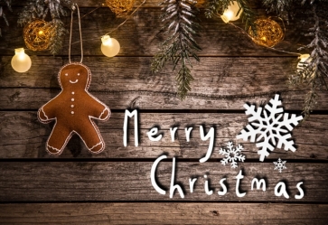 Merry Christmas Wood Board Christmas Party Backdrop Photography Background