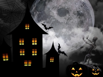 Black Pumpkin Bat Skeletons Moon Halloween Party Backdrop Decorations Background