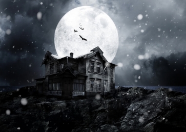 Under The Moon Houses Grey Halloween Party Backdrop Decoration Prop Studio Photography Background