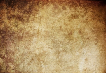 Retro Coffee Painted Textured  Backdrop  Studio Portrait Photography Background Prop