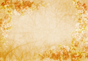 Flowers Yellowing Painted Camera Photography Background Props
