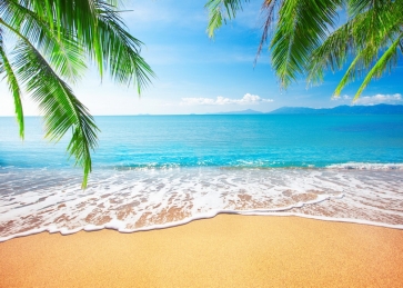 Blue Sky White Clouds Palm Trees Coconut Tree Beach Hawaiian Backdrop Photography Background