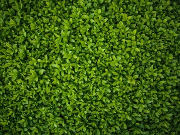 Baby Shower Grass Wall Backdrop Children Birthday Party Photography Background