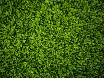 Baby Shower Grass Wall Backdrop Children Birthday Party Photography Background