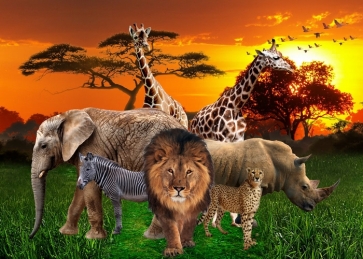 African Safari Backdrops Lion Unique Photo Vinyl Background