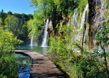 Forest Waterfall Beautiful Scenic Backdrop Photo Studio Photography Background