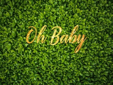 Grass Backdrop Golden Glitter Oh Baby Shower Photography Background