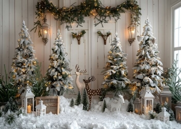 Indoor White Wooden Wall  Christmas Tree New Year Decoration Background