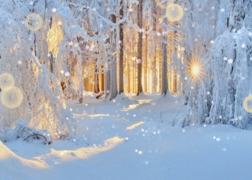 The Sun Is Covered By Snow Covered Forest White Christmas Backdrop