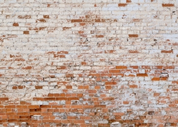 Vintage Wall Brick Backdrop Studio Photography Background