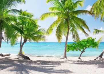 Tropical Summer Palm Tree Ocean Beach Backdrop Party Photography Background