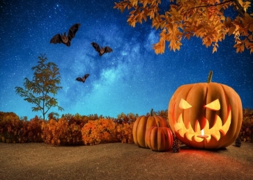 Under The Blue Starry Sky Bat Pumpkin Halloween Backdrop Party Photography Background