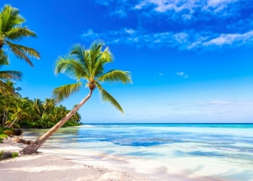 Blue sky White Clouds Ocean Beach Backdrop Party Photography Background