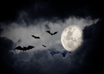 Black Cloud Moon Bat Halloween Backdrop Party Stage Background