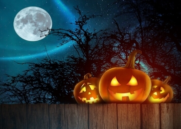 Under The Moon Pumpkin Halloween Backdrop Party Stage Background