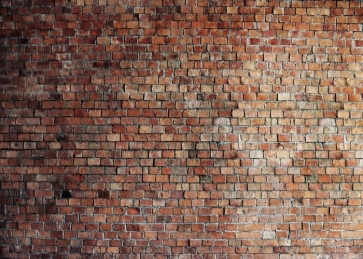 Retro Rustic Brick Wall Backdrop Video Studio Photography Background