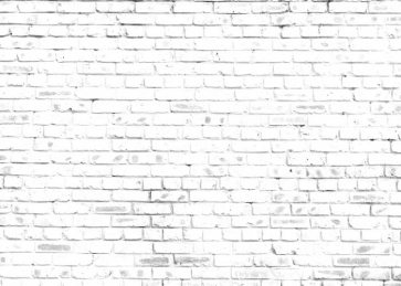 Retro White Rustic Brick Wall Backdrop Video Studio Photography Background