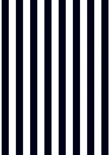Black And White Stripe Birthday Party Backdrop Photography Background Decoration Prop
