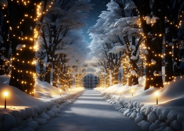Winter Snowy Fairy Lights Christmas Studio Photography Background