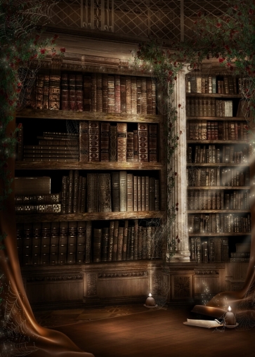 Inside Old Bookshelf Castle Halloween Backdrop Stage Party Photography Background