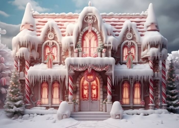 Winter Snow Pink Christmas House Backdrop Studio Photoshoot Booth Photography Background
