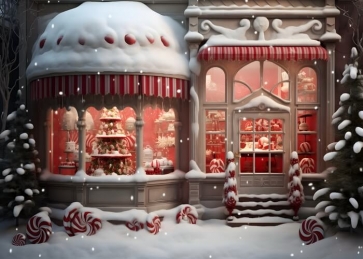 Winter Snow Christmas House Store Street Backdrop Photography Background