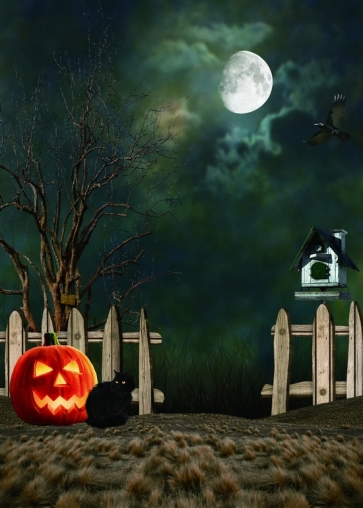 Night Sky Moon Black Cat Pumpkin Theme Halloween Background