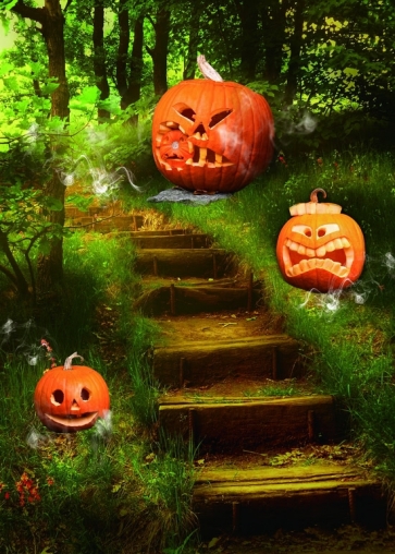 Scary Pumpkin On The Forest Trail Halloween Backdrop