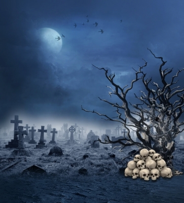 Grey sky Cemetery Skull Withered Tree Spider Web Halloween Backdrop