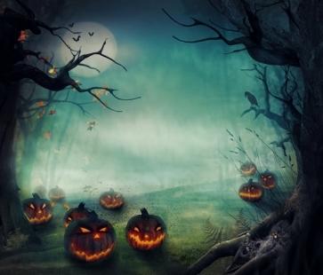 Forest Night Sky Moon Pumpkin Party Photography Halloween Vinyl Backdrops