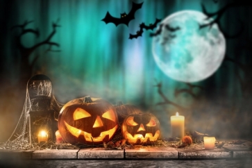 Moon Bat Board Pumpkin Theme Halloween Backdrops 