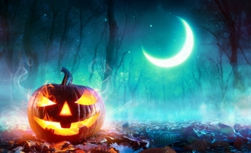 Blue Light Covering Moon Forest  Pumpkin Halloween Backdrop
