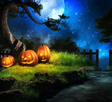 Pumpkin Themed Halloween Backdrops Photography Props