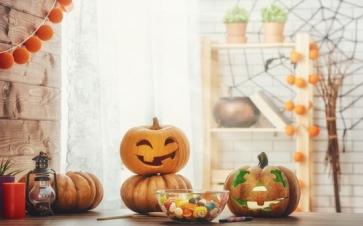 Spider Web Pumpkin Theme Candy Halloween Backdrop