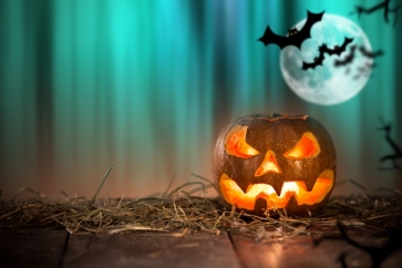 Halloween Pumpkin Lantern Bats Blue Light Backdrop Background for Photography