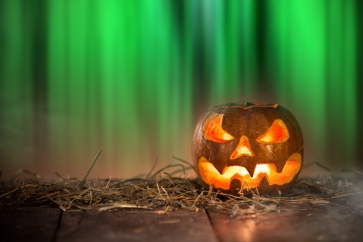 Halloween Pumpkin Lantern on Straw Green Light Photo Drop Background