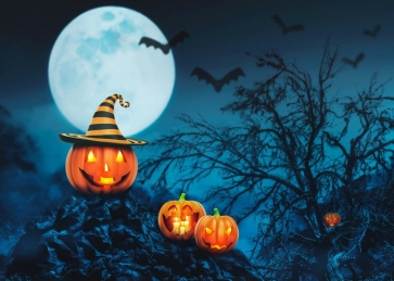 Pumpkin Theme Cute Halloween Backdrop Halloween Party Background Decorations Props