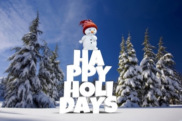 Winter White Snow Snowman Happy Holidays Christmas Party Photo Wall Backdrop