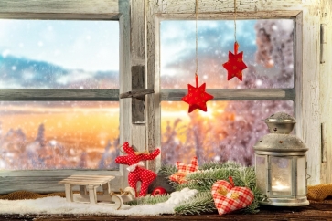 Indoor Wood Window Christmas Party Photo Prop Background
