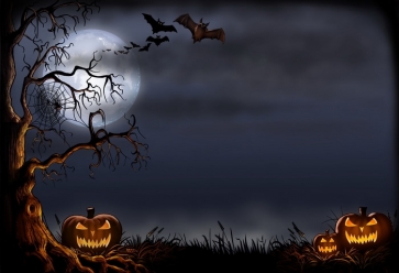 Black Night Sky With Dead Tree Spider Web Scary Pumpkin Halloween Party Backdrop
