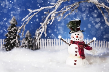 Winter White Snowman Chirstmas Party Outdoor Camera Backdrops