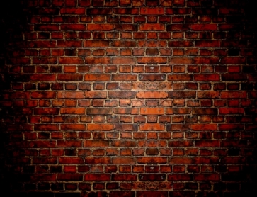 Stylish Retro Simple Vinyl Red Wall Background Brick Backdrops