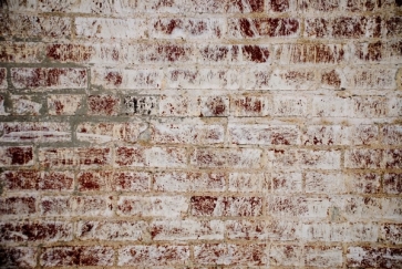 White Plaster Covered Rock Old Brick Wall Background For Party