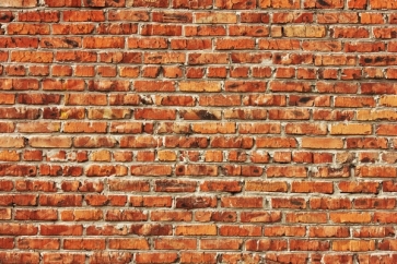 Attractive Retro Vintage Yellow Vinyl Brick Backdrops Interior Wall Background