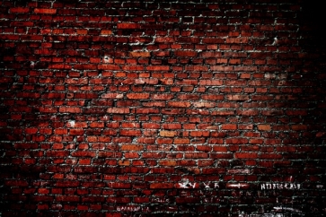 Retro Vintage Attractive Thin Strip Red Brick Background Wall Backdrops