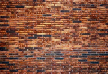 Simple Stylish Wall Photography Backdrops Vinyl Brick Background